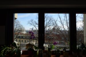 Ausblick von Innen 2